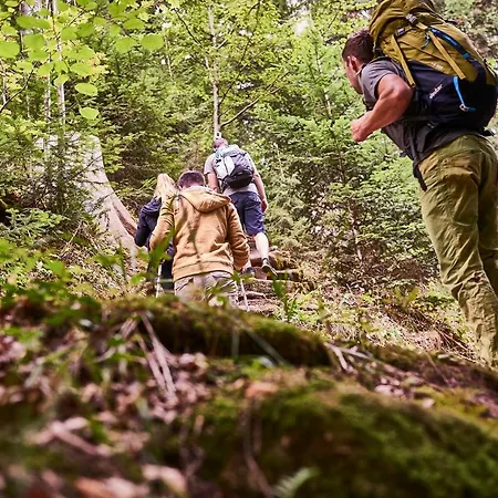 Kronelamm Im Schwarzwald Szálloda 4*