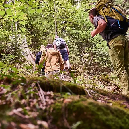 Kronelamm Im Schwarzwald Hotel 4*