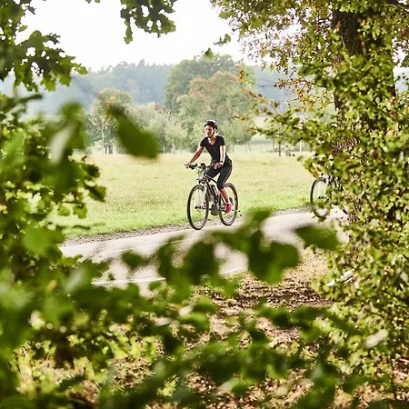 Kronelamm Im Schwarzwald