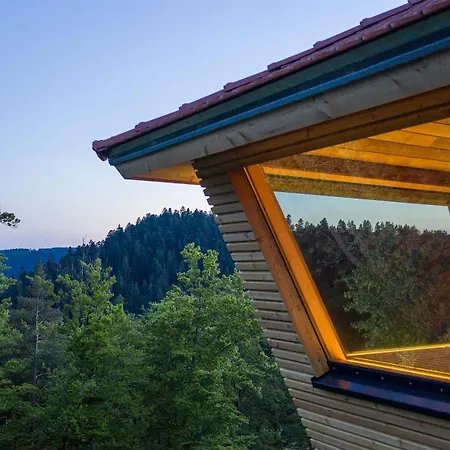 Отель Kronelamm Im Schwarzwald 4*