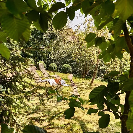 Kronelamm Im Schwarzwald Бад-Тайнах-Цавельштайн